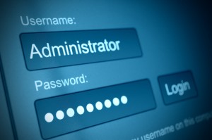 system administrator